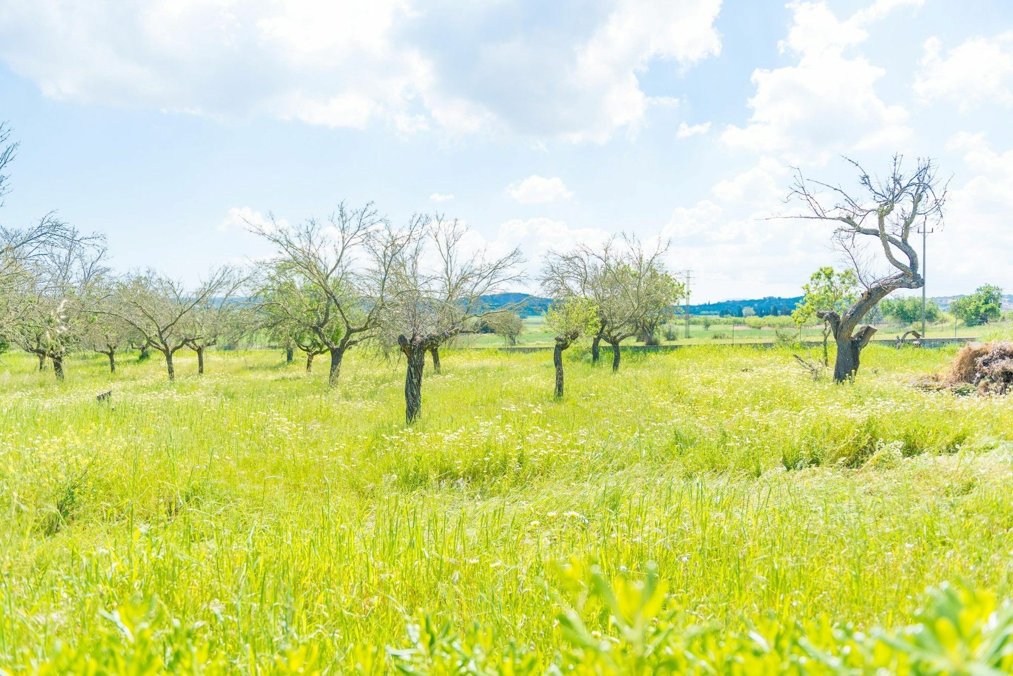 Casa Holganza Villa มาเรียเดอลาซาลุต ภายนอก รูปภาพ